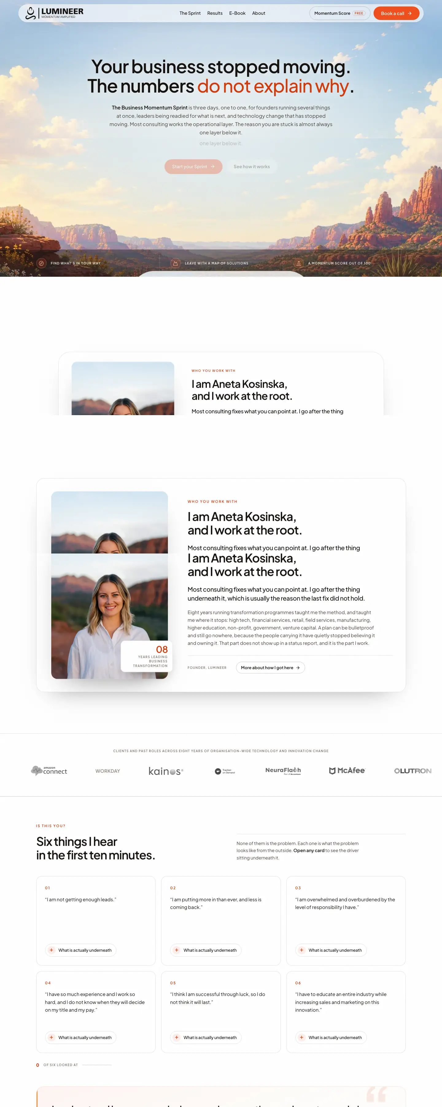 The website we built for Lumineer